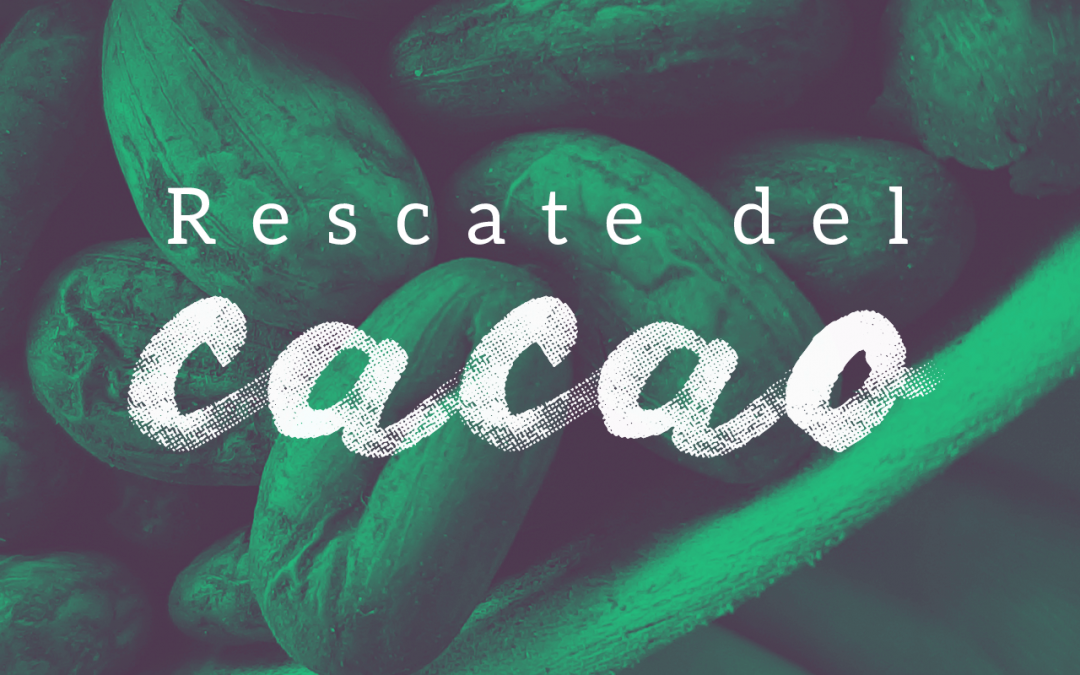 Rescate del cacao