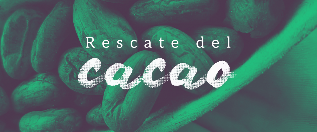 Rescate del cacao